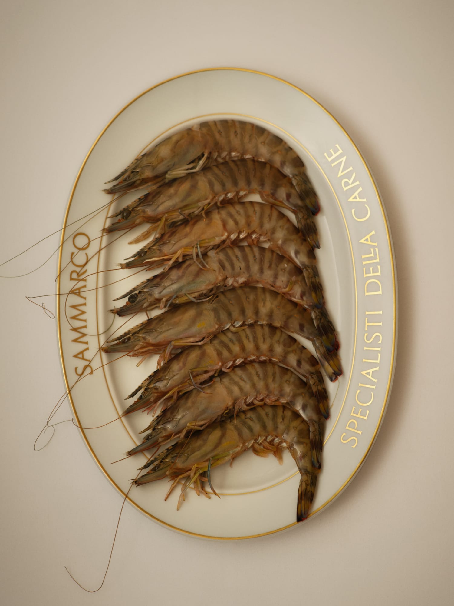 Sammarco plate design, shot by Graydon/Herriot